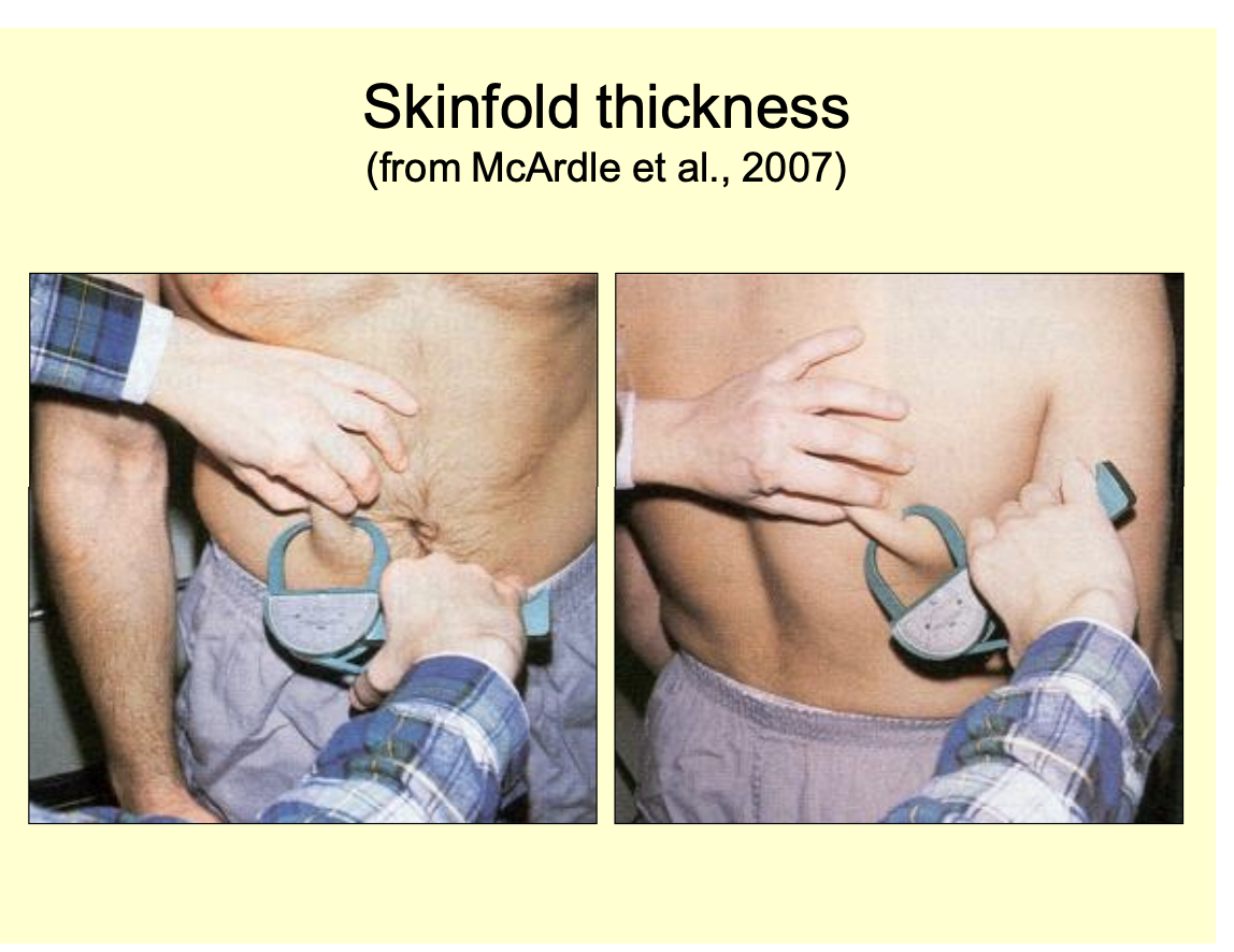 <ul><li><p>skin fold thickness measured with callipers</p></li><li><p>at different places</p></li></ul><p></p>
