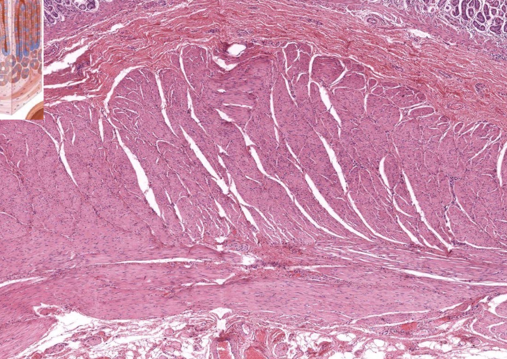 <p>Identify the Layers and Where?</p>