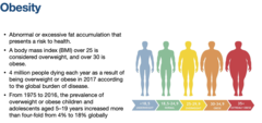<p>25</p>