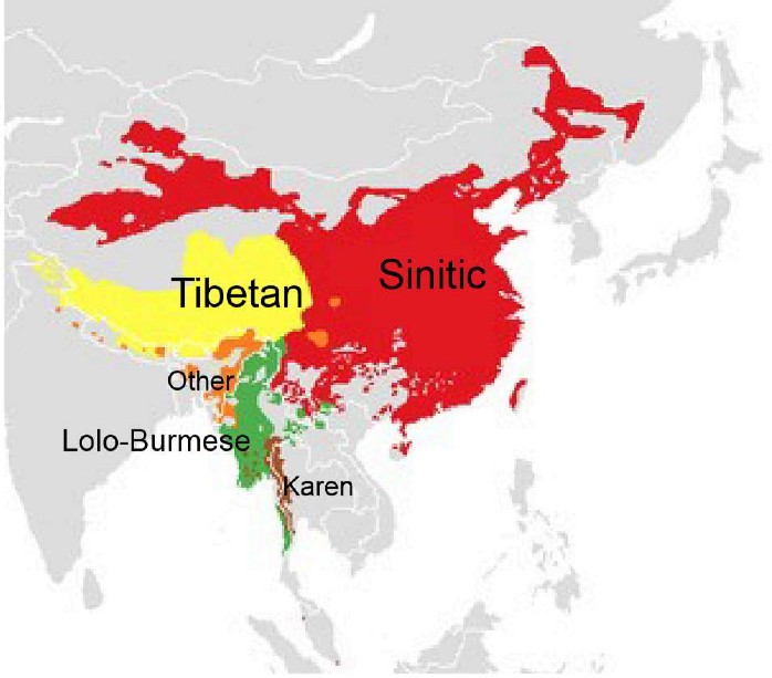 <ol><li><p>Tibetan</p></li><li><p>Sinitic</p></li><li><p>Lolo-Burmese</p></li><li><p>Karen</p></li><li><p>Other</p></li></ol><p></p>