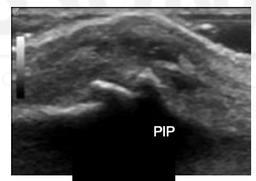 <p>What is this?</p>