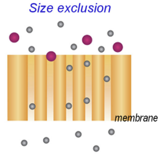 <p><span style="background-color: transparent;">separation principle where larger molecules are completely excluded from porous media (= ZERO absorption)</span></p><ul><li><p>Size cutoff: 600 Da</p></li></ul><p></p>
