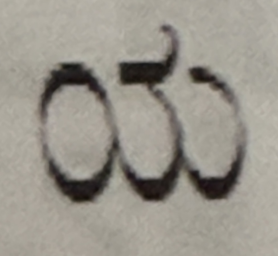term image