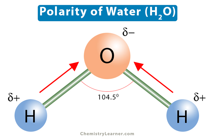 <p>Dipole Moment in Water Molecule</p>