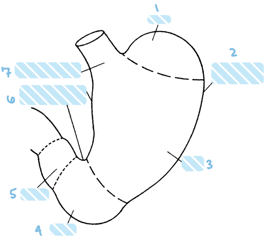 <p>label in order </p>