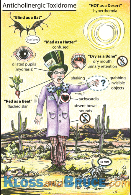 <ul><li><p>Dry, warm, flushed skin </p></li><li><p>Fever </p></li><li><p>Dry mouth </p></li><li><p>Decreased bowel sounds, ileus </p></li><li><p>Urinary retention </p></li><li><p>Sinus tachycardia </p></li><li><p>Mydriasis/blurred vision </p></li><li><p>Delirium, restlessness, hallucinations → coma, psychosis, seizures </p></li></ul><p>Mad as a hatter, dry as a bone, red as a beet, blind as a bat, hot as a hare, seizing like a squirrel </p><p></p>