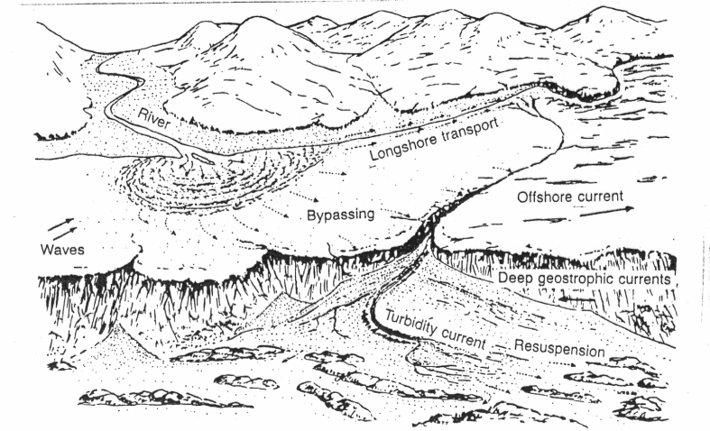 <p>Steep-walled canyon cutting across the continental shelf that funnels coarse sediment into deeper water (turbidity currents). Often formed by river incision during LSTs</p><p>often several km deep and 10s of km wide</p>