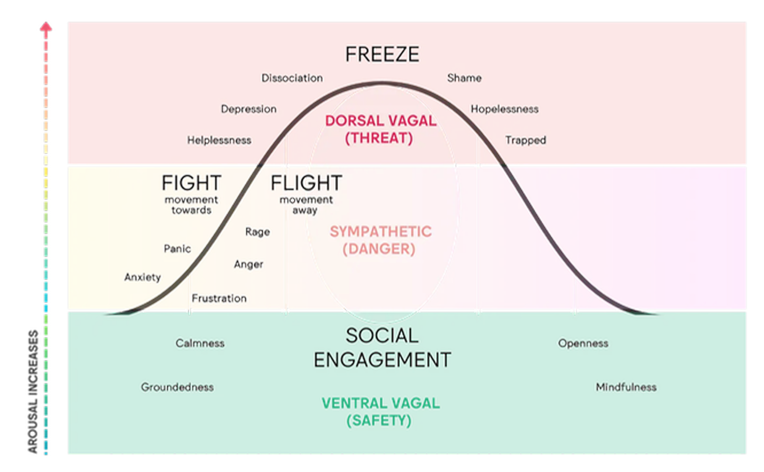 <ol><li><p>Ventral Vagal</p></li><li><p>Sympathetic (danger)</p></li><li><p>Dorsal vagal (threat)</p></li></ol><p></p>