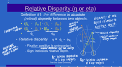 <p>What is relative disparity? </p>