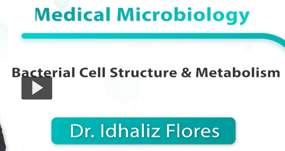<p>Bacterial GROWTH and METABOLISM</p>