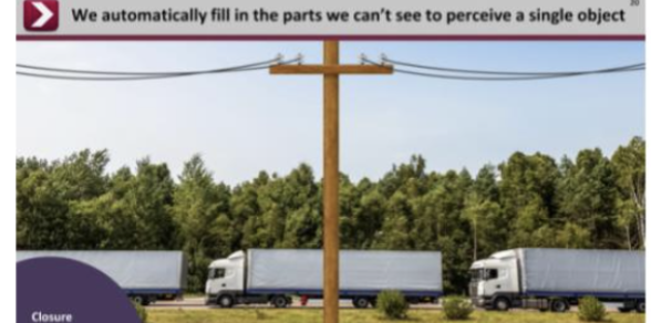 <p>The tendency to fill in gaps in a contour to perceive a whole object</p>