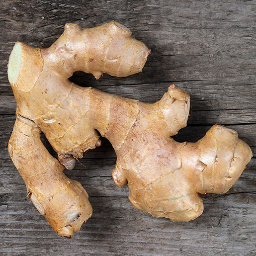 <p>Ginger</p>