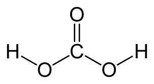 <p><span>carbonic acid (acid rain H2O + CO2 ---> _________)</span></p>