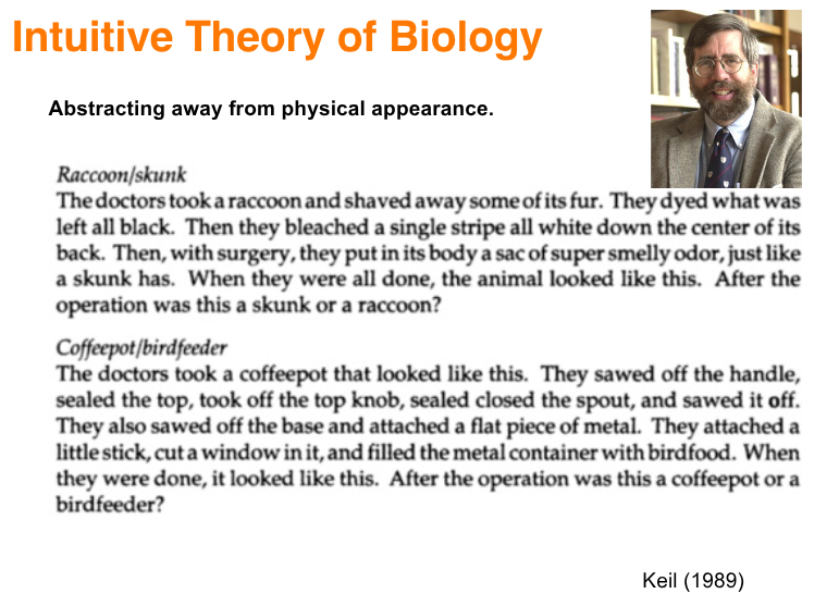 <p>Evidence from stories of transformations</p>