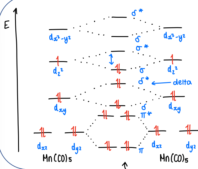 <p>Each complex has one unpaired electron to donate to the other, forming a MO.</p>