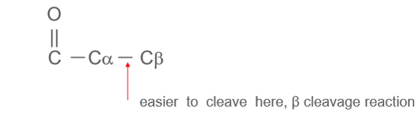 <p>it is difficult to cleave between the 2 C of acetyl CoA because it is a high-energy thioester bond, so it gets condensed with OAA to make 6 carbon citrate which is easy to rearrange in order to perform a beta-cleavage reaction </p>