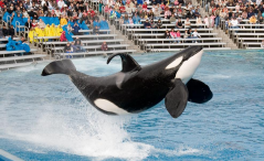 <p>Where is this location?</p>