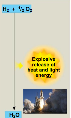 <p>what is this</p>