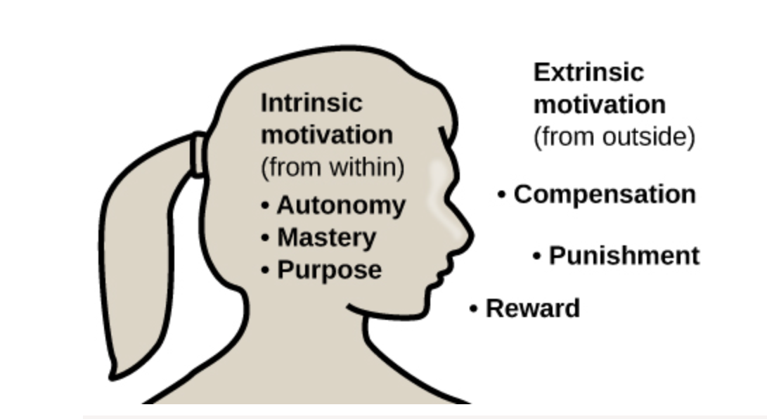 <p><strong>Intrinsic</strong>: arising from internal factors</p><p><strong>Extrinsic</strong>: arising from external factors</p>
