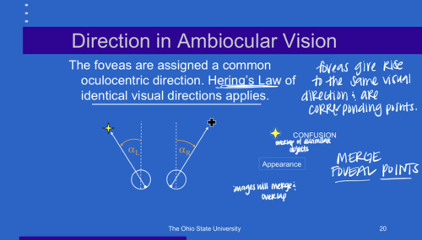 <p>overlap of dissimilar objects</p>
