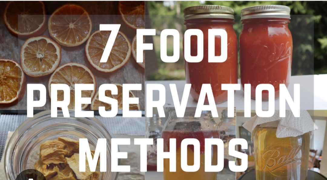 <p>What is Food prevention?</p>