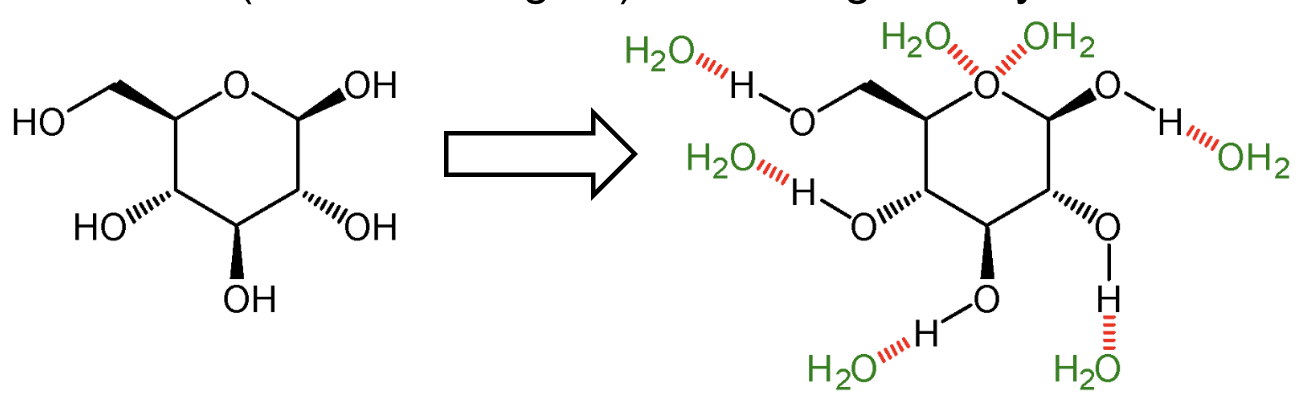 <p>Free glucose is a <strong>strong osmolyte</strong> and would create <strong>dangerous osmotic pressure.</strong> <br>Polysaccharides <strong>lower osmotic stress</strong> and can be stored in an <strong>insoluble</strong>, <strong>compartmentalized</strong> <strong>form</strong>.</p>