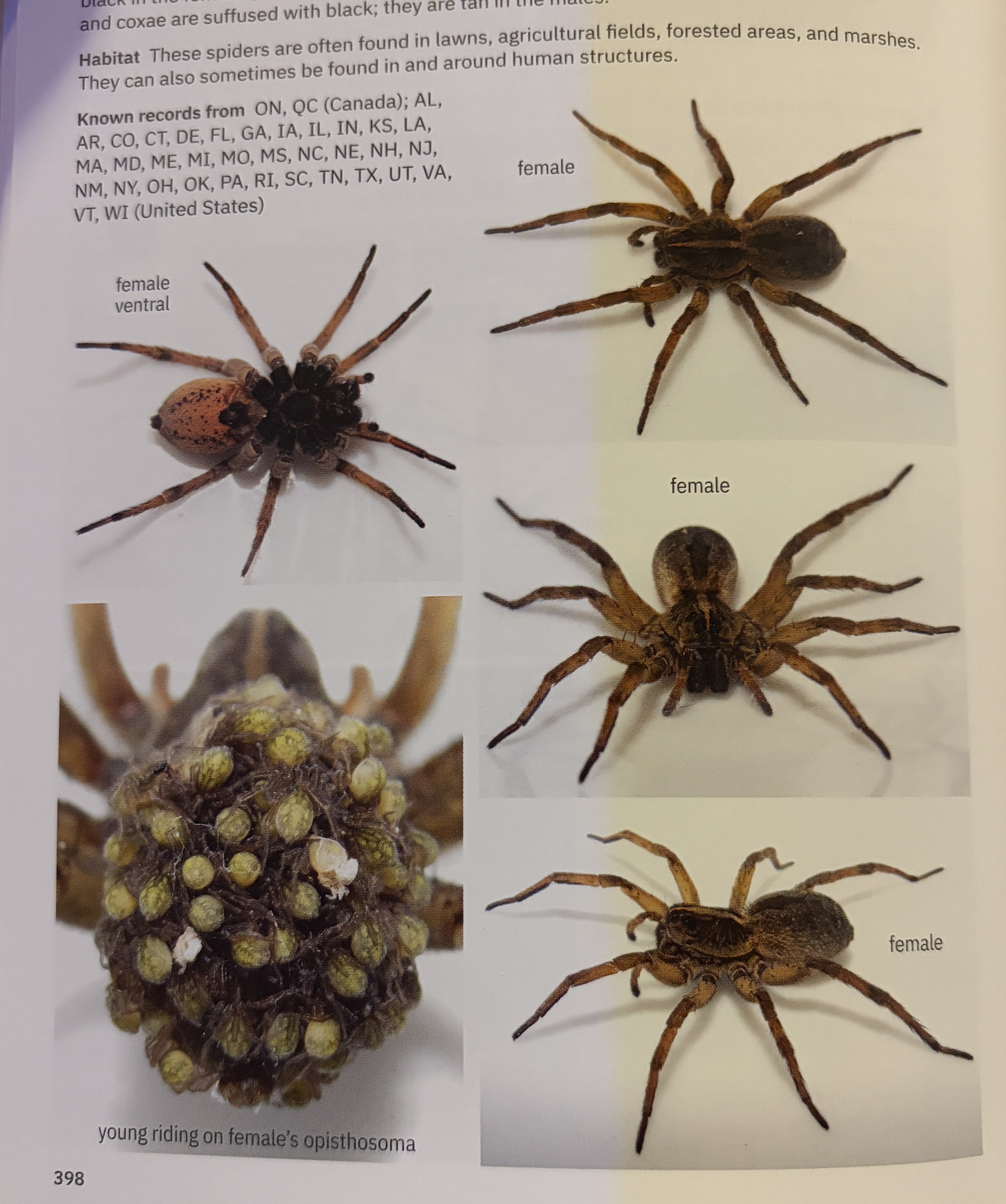 <p>who is this <span data-name="question" data-type="emoji">❓</span></p>