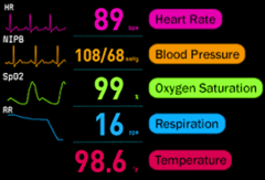 <p>Blood Pressure</p>