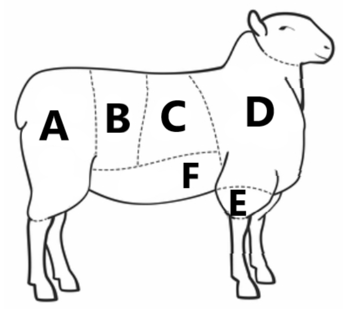 <p>D</p>