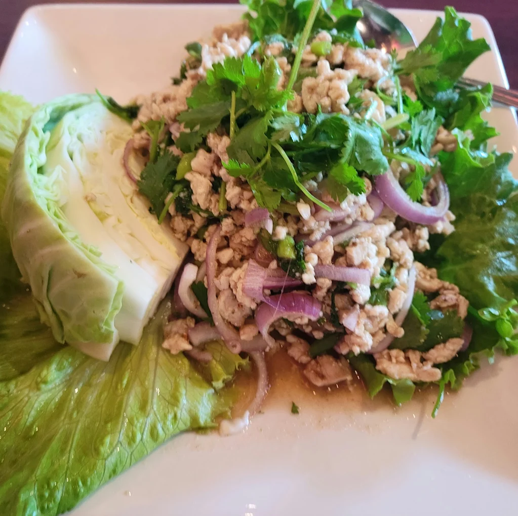 <p>Salad, ground chicken or beef</p>