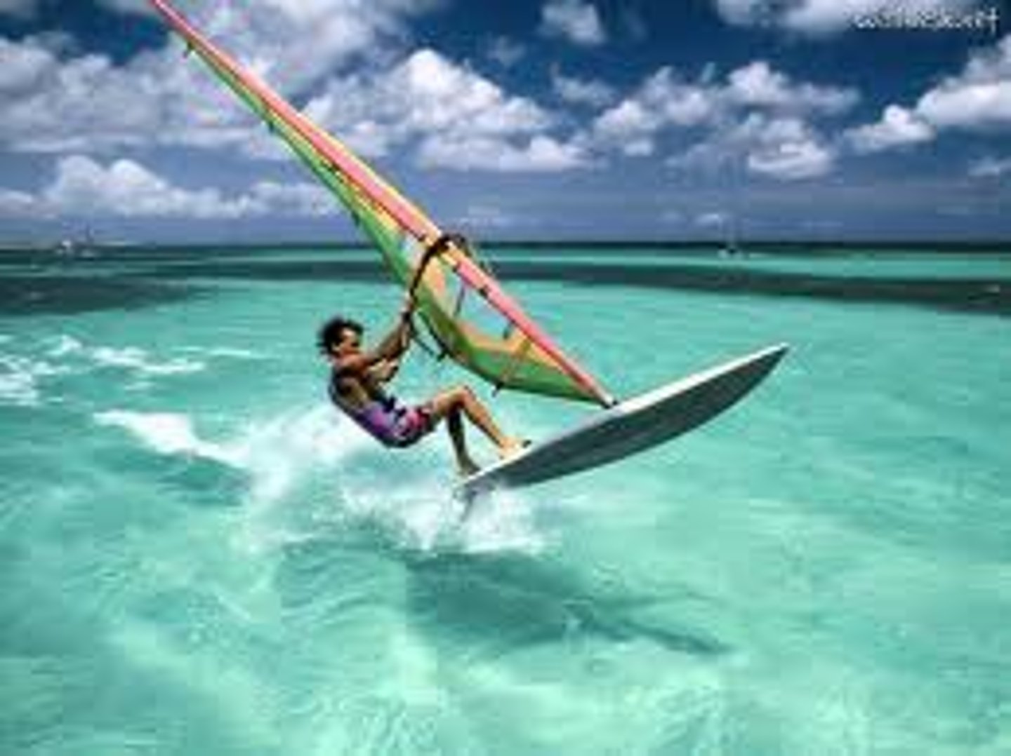 <p>une planche à voile</p>