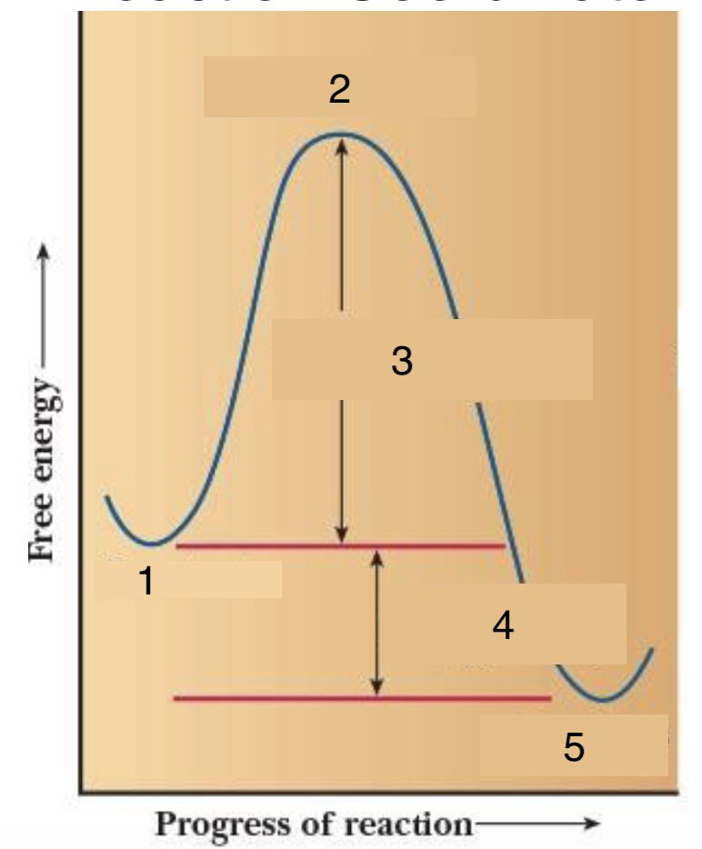 <p>4</p>