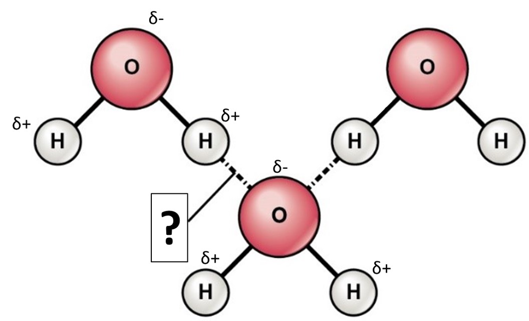 <p>What bond is the question Mark?</p>
