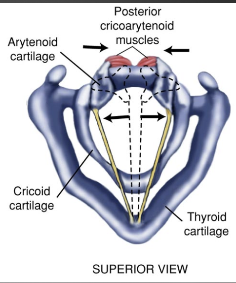 <p>what does this show</p>