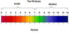 <p>Substance that donates H+ ions in water.</p>