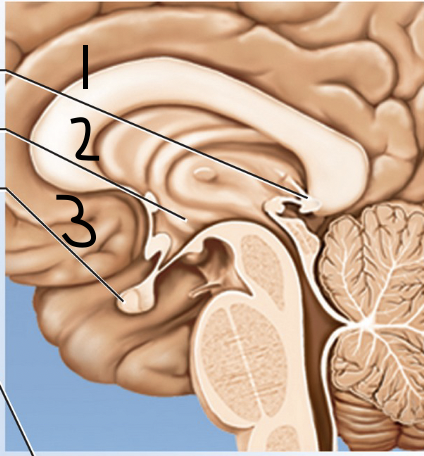 <p>1</p>