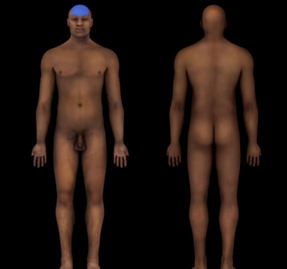 term image