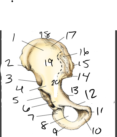 <p>what is 2?</p>