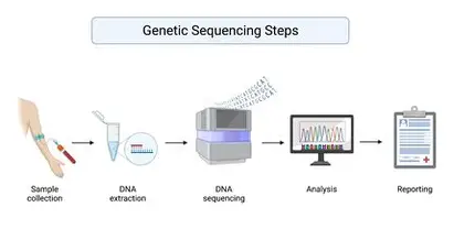 <p>Sequence means instructions that execute in order with no branching or repetition</p>
