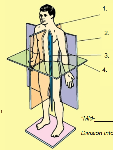 <p>what is 3?</p>