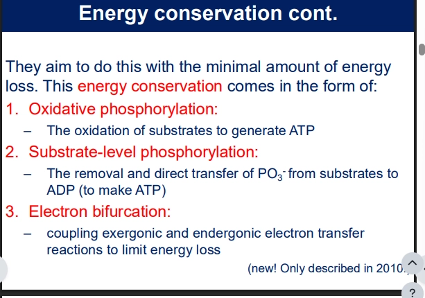 <ul><li><p>the ultimate goal of microbes - to convert external Energy sources to cellular Energy (to do work => biomolecules => biomass) as efficiently as possible, minimising any E lost from the system (so little bits are harvested along the way, added to usable E carriers like ATP - etc)</p></li></ul><p>(methods)</p><ul><li><p>Oxidative Phosphorylation - oxidising substrates to generate ATP (eg e transport chain, removing e from the E source, and passing it through various carriers, harvesting the E along the way to pump protons, whose movement back is coupled with ADP phosphorylation)</p></li><li><p>Substrate-level Phosphorylation - direct transfer of Pi (PO3-) from substrates to ADP to generate ATP (harvesting the E from one substrate, and adding it to a cellularly available E carrier)</p></li><li><p>Electron Bifurcation - not focused for this course (little known idea). just overall concept is the coupling of exergonic (Spont generates E) &amp; endergonic (nonspon requires E) rxns involving e transfer - to minimise E loss &amp; enabling rxns that wouldnt occur alone (both directions in the redox table)</p></li></ul><p></p>