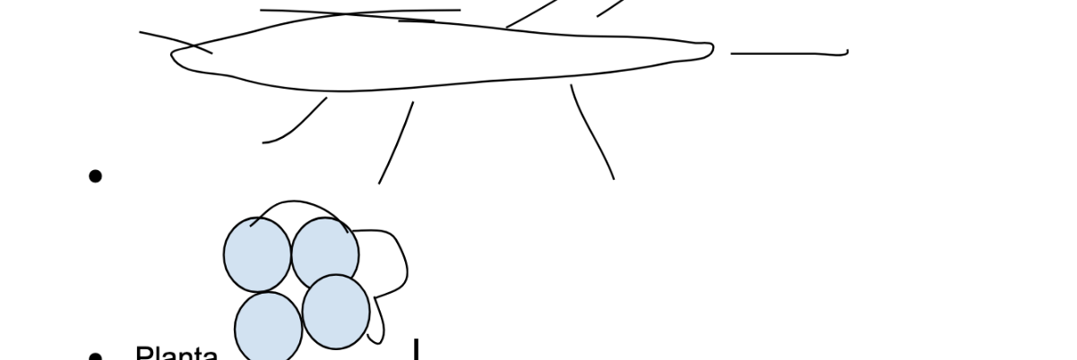 <p>How does this reproduce</p>