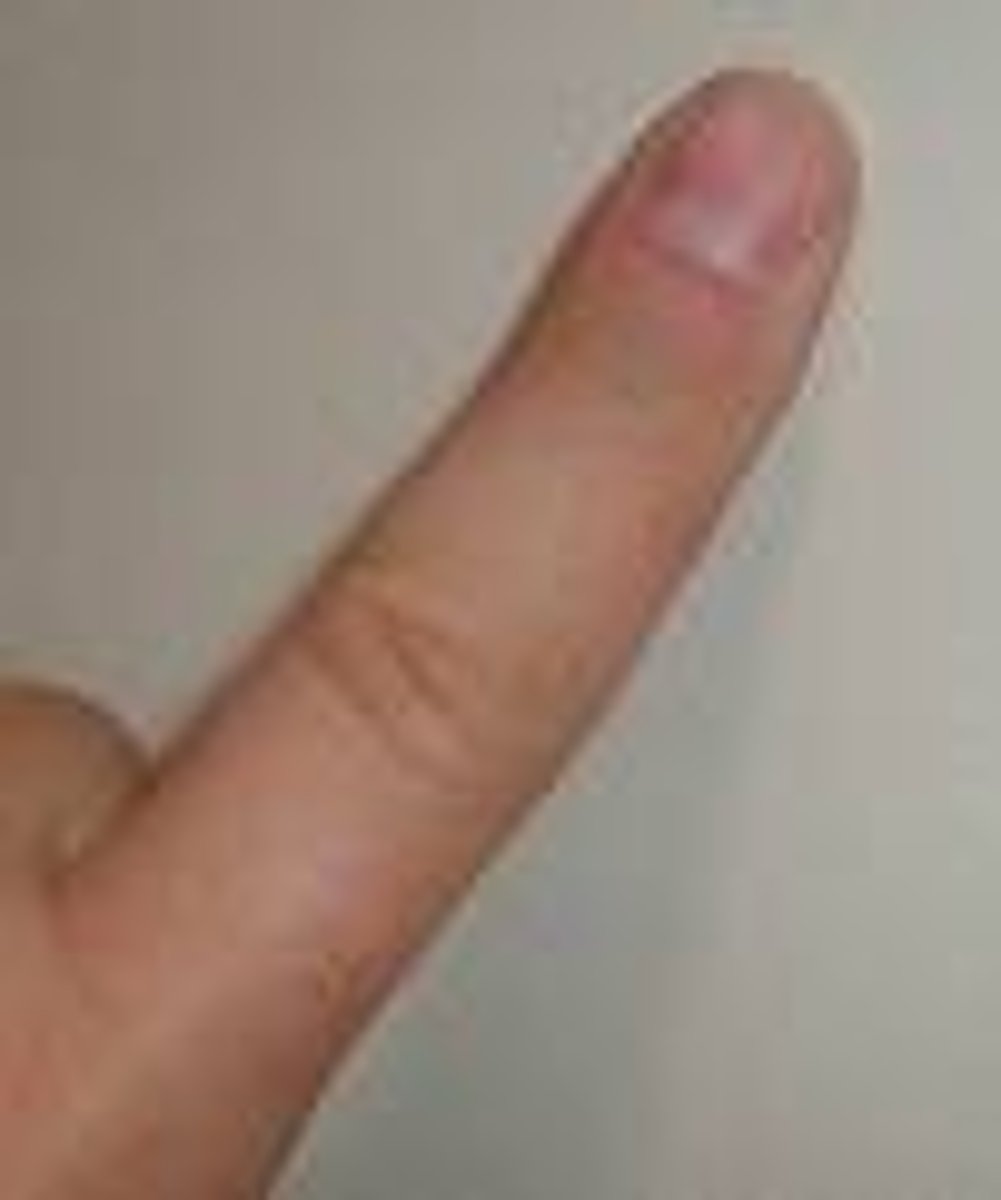 <p>the finger</p>