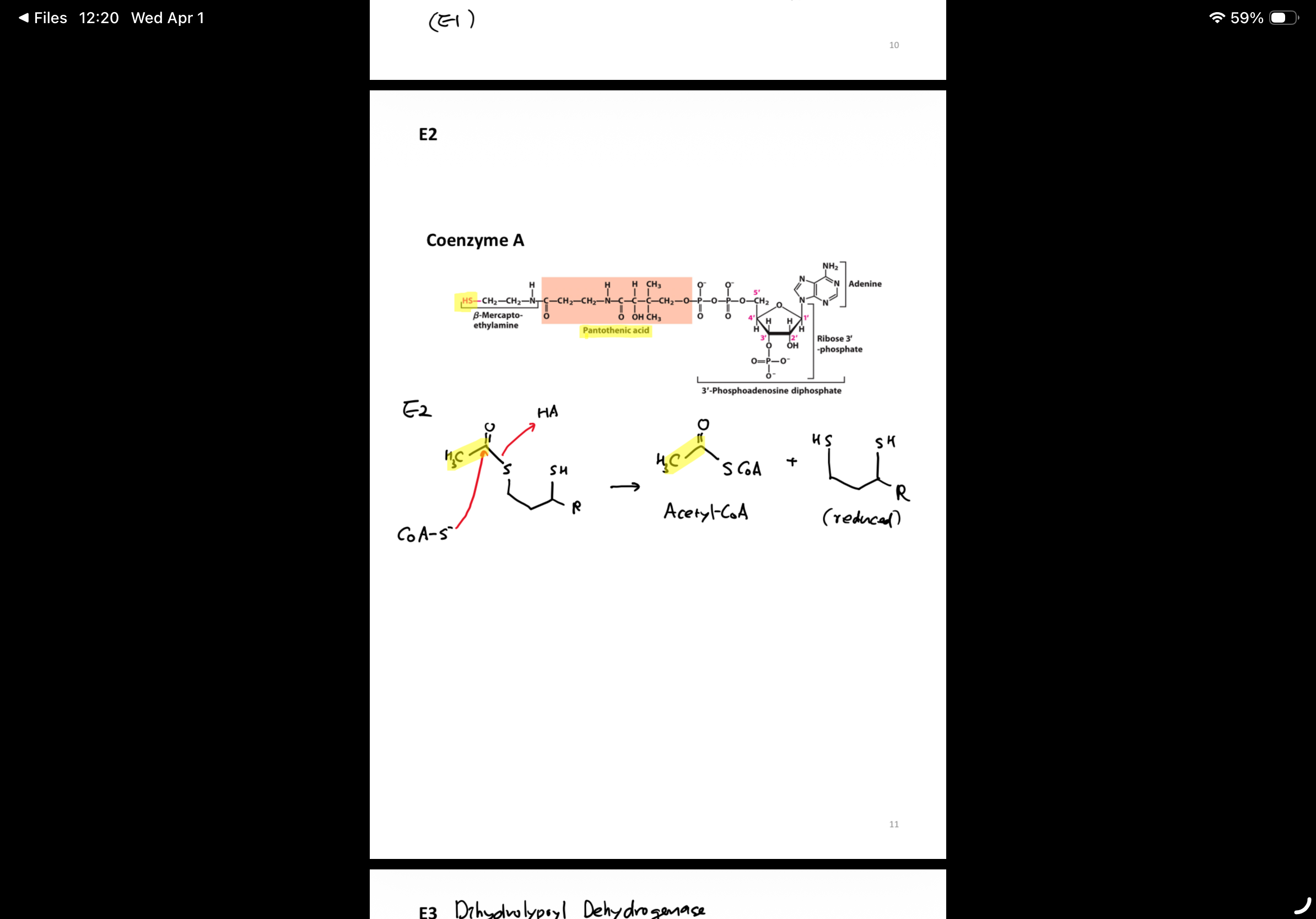 knowt flashcard image