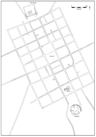 term image