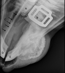 <p>What is A?</p>