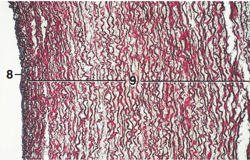 <p>Part and stain?</p>