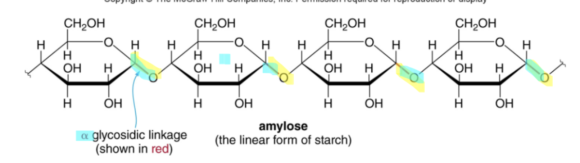 <p><strong>unbranched </strong>(linear) polymer</p><p></p>