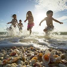 <p><strong>Frolic </strong></p>