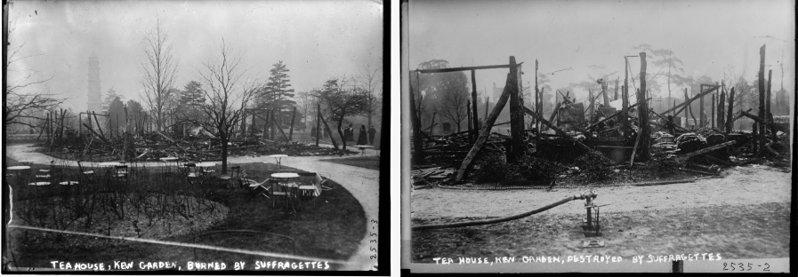 <ul><li><p>they also attacked botanical gardens</p></li><li><p>attacking those kind of arts that compare them to nature</p></li></ul><p></p>